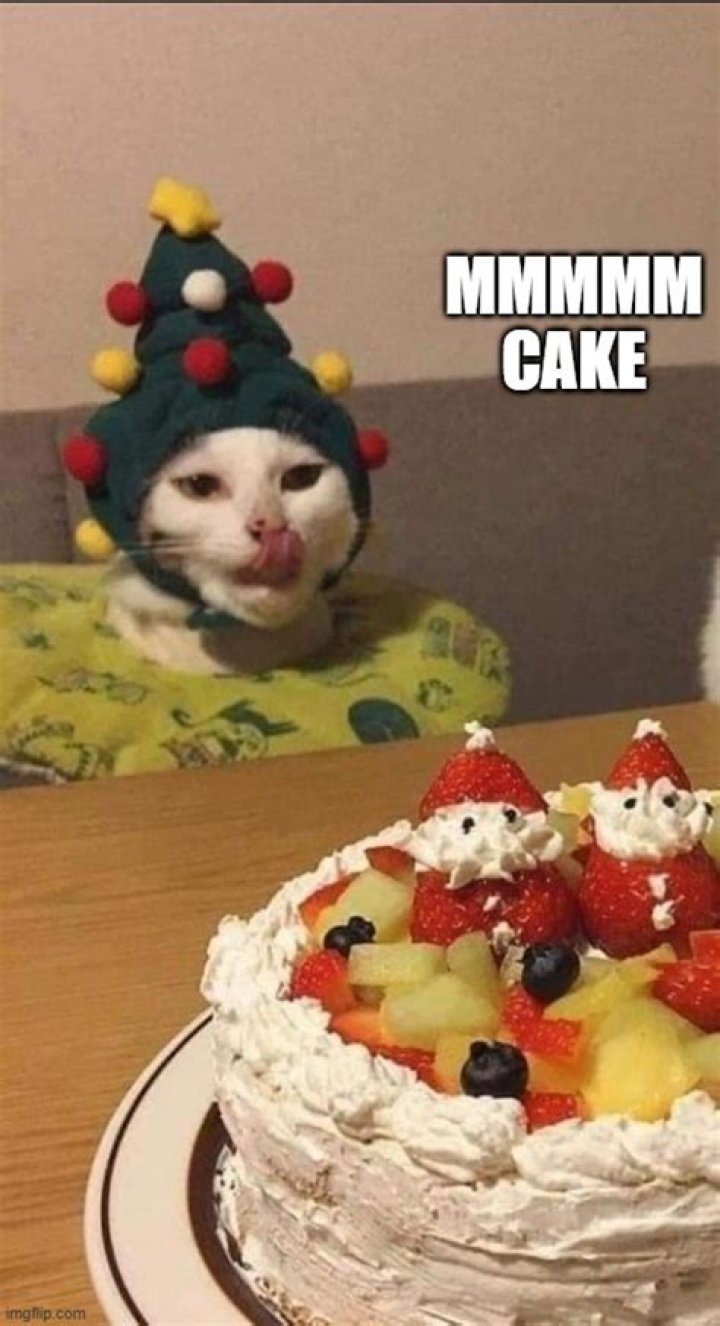 Mmmmm... CAKE.