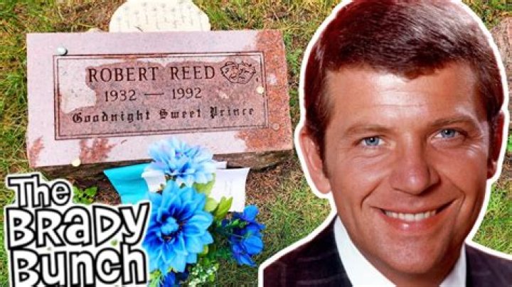 Robert Reed, Papa Brady